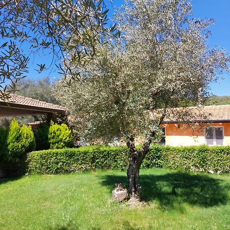 Casa Vacanza Centro Sardegna Sorgono Buitenkant foto