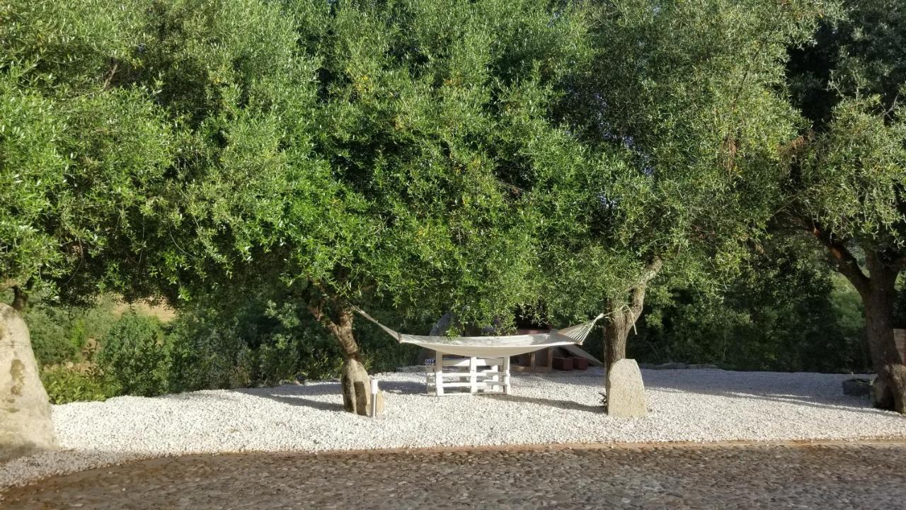 Casa Vacanza Centro Sardegna Sorgono Buitenkant foto