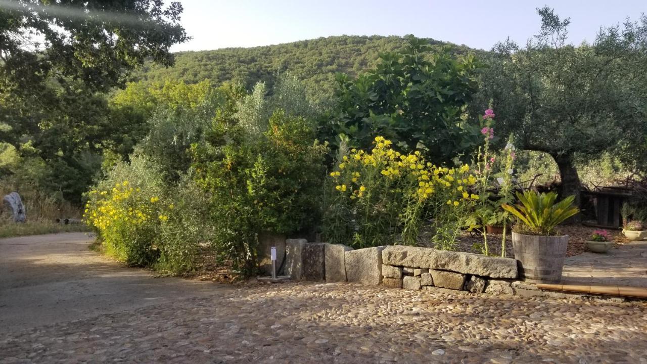 Casa Vacanza Centro Sardegna Sorgono Buitenkant foto