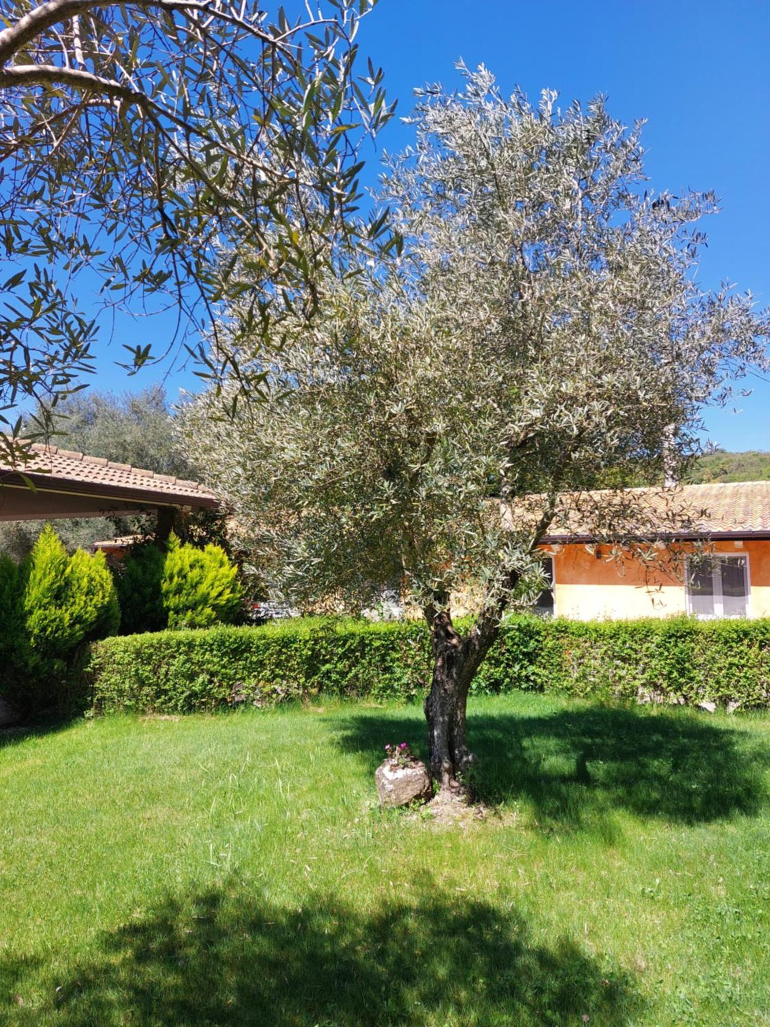 Casa Vacanza Centro Sardegna Sorgono Buitenkant foto