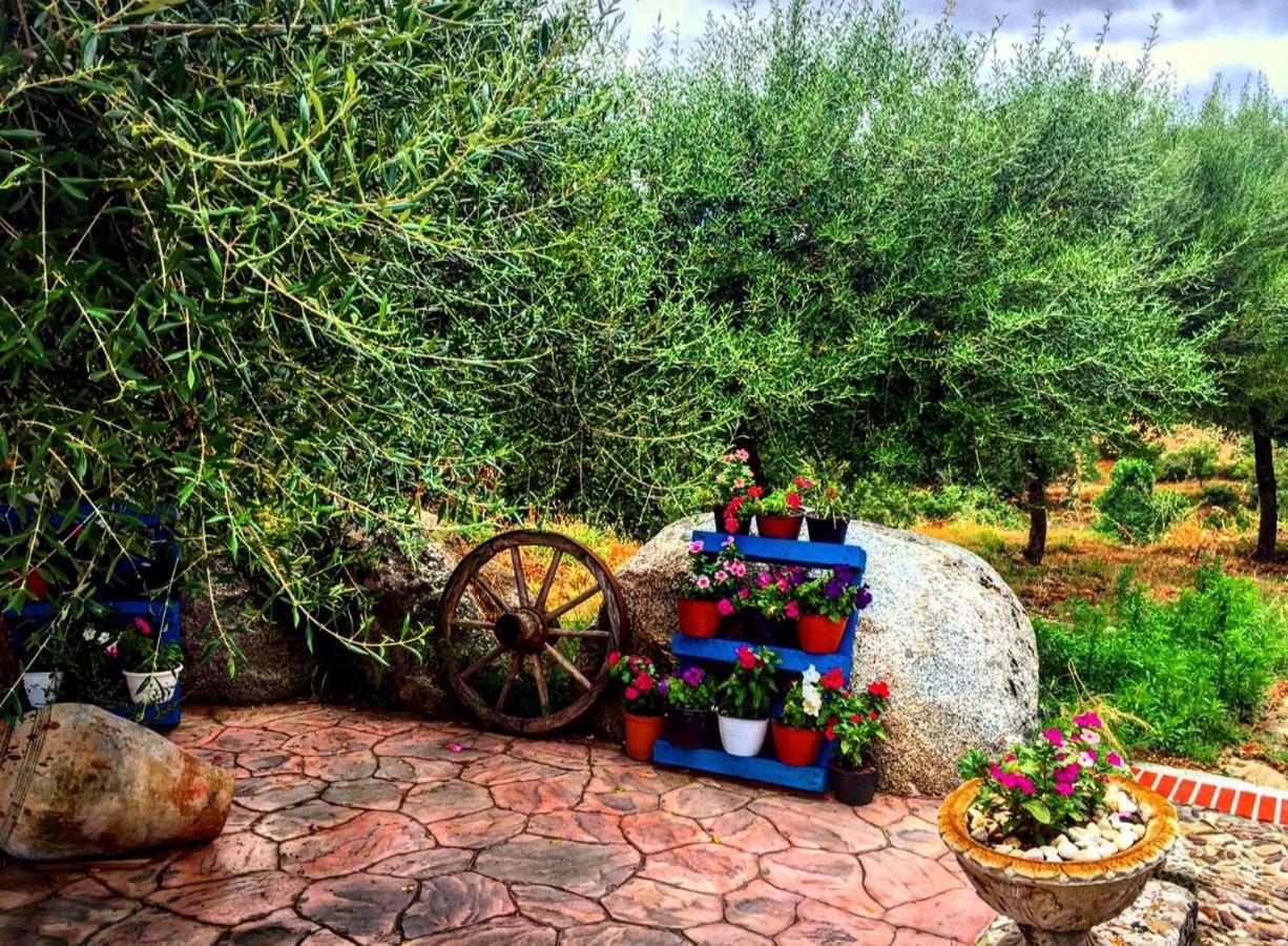 Casa Vacanza Centro Sardegna Sorgono Buitenkant foto